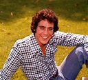 Top 10 Forgotten '70s Teen Heartthrobs, Then And Now
