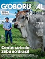 Globo Rural destaca o centenário do boi zebu no Brasil - Revista Globo ...