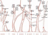 The Bourbon Family Tree (Infographic) | thebourbonblog.com | Family ...