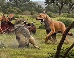 Ancient DNA Reveals Secrets of the “Terrifying” Dire Wolf – Famous From ...