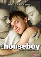 The Houseboy [DVD] [2007]: Amazon.de: Damien Fuentes, Tom Merlino, Nick ...
