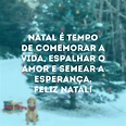 50 frases de Feliz Natal para desejar a todos uma vida plena e muito feliz