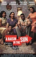 Review of A Raisin in the Sun DVD (2008) by Film Reviewed Kam Williams
