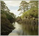 La Reserva Natural de Glengarriff en Cork | Sobre Irlanda : Sobre Irlanda
