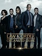 Law & Order: Organized Crime Season 3 | Rotten Tomatoes