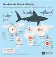 Shark Attacks for Shark Week