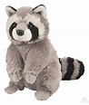 Wild Republic Raccoon - Wild Republic - szop pracz maskotka pluszowa ...