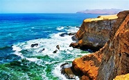 Tour a Reserva Nacional de Paracas (desde Chincha) - Tours en Latinoamérica