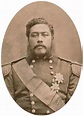 King Kalākaua of Hawai‘i, born David La‘amea Kamanakapu‘u Mahinulani ...