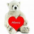 Merci : ours blanc et coeur : gif transparent