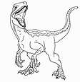 Jurassic World Blue Raptor Coloring Pages - Worksheets Joy