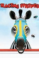 Racing Stripes Pictures - Rotten Tomatoes