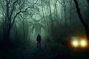 Creepy Cryptids And Where To Find Them - Trill Mag