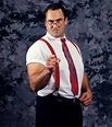 Blast from the past: Mike Rotunda | Wrestling | postandcourier.com