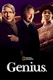 Genius (TV Series 2017- ) - Posters — The Movie Database (TMDB)