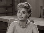 Jeannine Riley | Golden age of hollywood, Petticoat junction, 1960s ...