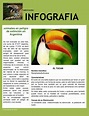 genial | Animales en peligro de extincion, Texto informativo ejemplo ...