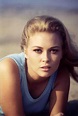 50 Gorgeous Photos of Faye Dunaway in the 1960s and Early 1970s ~ Vintage Everyday