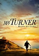 Mr. Turner – Meister des Lichts