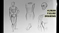 How to draw Human anatomy easily for beginners - YouTube