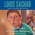 There's a Boy in the Girls' Bathroom (Audible Audio Edition): Louis ...