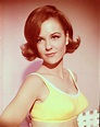 40 Beautiful Photos of Shelley Fabares in the 1960s ~ Vintage Everyday