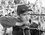Phillip Alford - Shenandoah (1965) | Western movies, To kill a ...