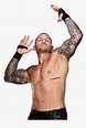 Randy Orton Png Image With Transparent Background - Randy Orton Side ...