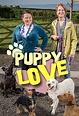 Puppy Love (2014, Série, 1 Saison) — CinéSérie