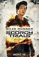 Poster zum Film Maze Runner 2 - Die Auserwählten in der Brandwüste ...