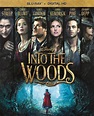 TrustMovies: INTO THE WOODS: An only so-so theater piece becomes a ...