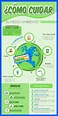 Cómo Hacer una Infografía sobre El Cuidado Del Medio Ambiente ⋆ Fácil y ...