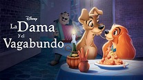 Ver La dama y el vagabundo | Película completa | Disney+