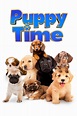 Puppy Time! (película 2019) - Tráiler. resumen, reparto y dónde ver ...