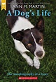 A Dog's Life: The Autobiography of a Stray (Scholastic Gold) (Paperback ...