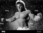 DEATH OF THE INCREDIBLE HULK, THE, Lou Ferrigno, 2/18/90 Stock Photo ...