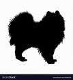 Samoyed dog silhouette Royalty Free Vector Image