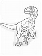 Velociraptor Blue Jurassic World Coloring Pages - Funkin