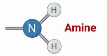 Amines- Definition, Structure, Preparation, Properties, Uses