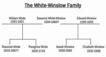 After The Mayflower: Story of the White-Winslow Family Dynasty: Purpose ...