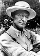 Hermann Hesse on Solitude, the Value of Hardship, the Courage to Be ...