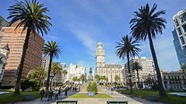 Montevideo 2021: los 10 mejores tours y actividades (con fotos) - Cosas ...