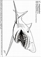 Megalodon Coloring Page at GetDrawings | Free download