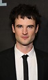 Tom Sturridge as Dream of the Endless | Netflix's The Sandman: Meet the ...