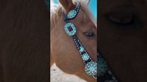 Designer Tack Rodeo Drive Conchos - YouTube