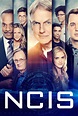 NCIS : Enquêtes spéciales Saison 16 - AlloCiné