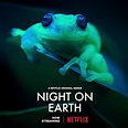 Night on Earth (TV Mini Series 2020) - IMDb