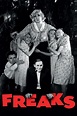 Freaks (1932) — The Movie Database (TMDB)