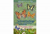 Schmetterlinge entdecken, beobachten, bestimmen | Insekten | Tiere ...