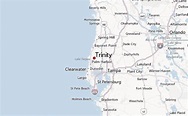 Trinity, Florida Location Guide